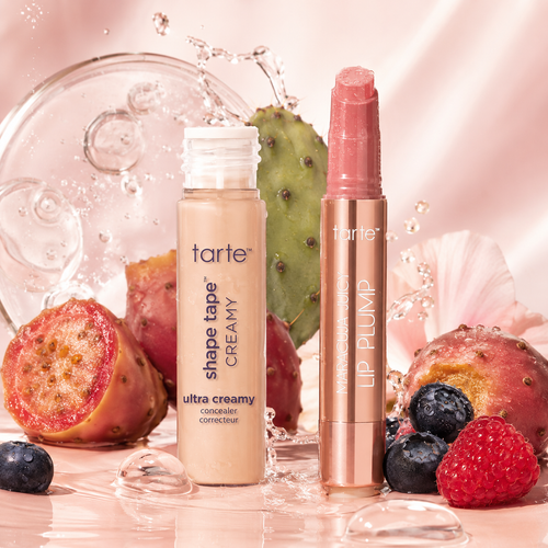Concealer & Juicy Lip Gloss Set